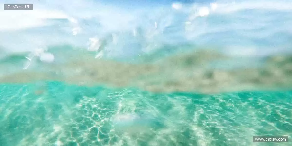 赛事回放随时重温，精彩瞬间不容错过📺